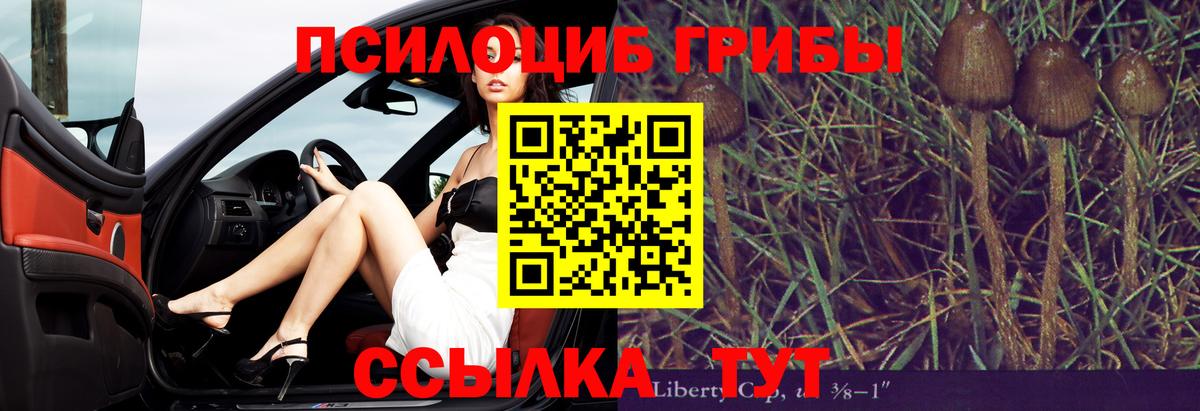 Псилоцибиновые грибы Psilocybe  как найти закладки  Чебаркуль  Псилоцибиновые грибы MAGIC MUSHROOMS  Вход с VPN 